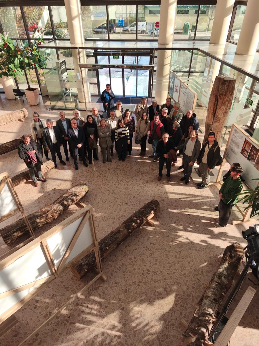 ForestED tweet media