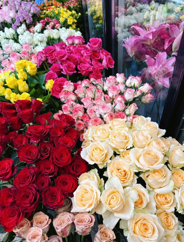 eliza35487's tweet photo. Find me where the flowers grow 🌷🌿 https://t.co/EX6nGQM6Rd