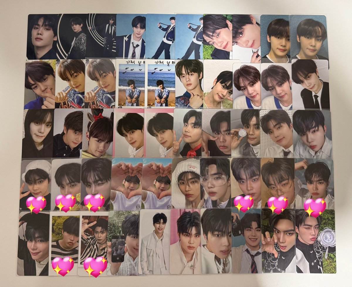 🐻‍❄️ tweet media