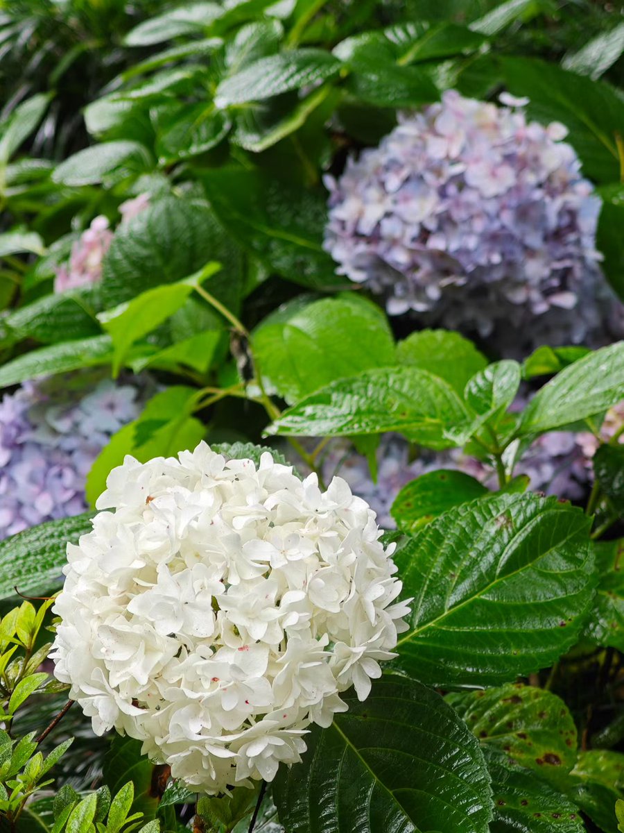 wdr2oversea (@wdr2oversea) on Twitter photo 