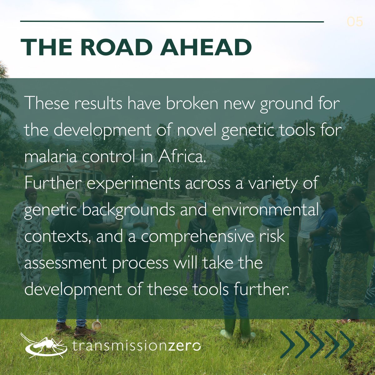 transmissionzero tweet media