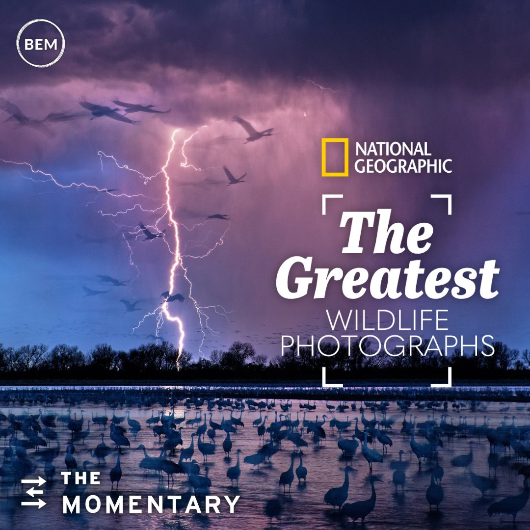 Bauer Entertainment Marketing tweet media