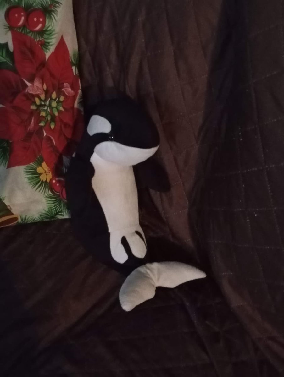 Me and garage have adopted a child
<a href="/DyvennP/">Mr. Garage</a>