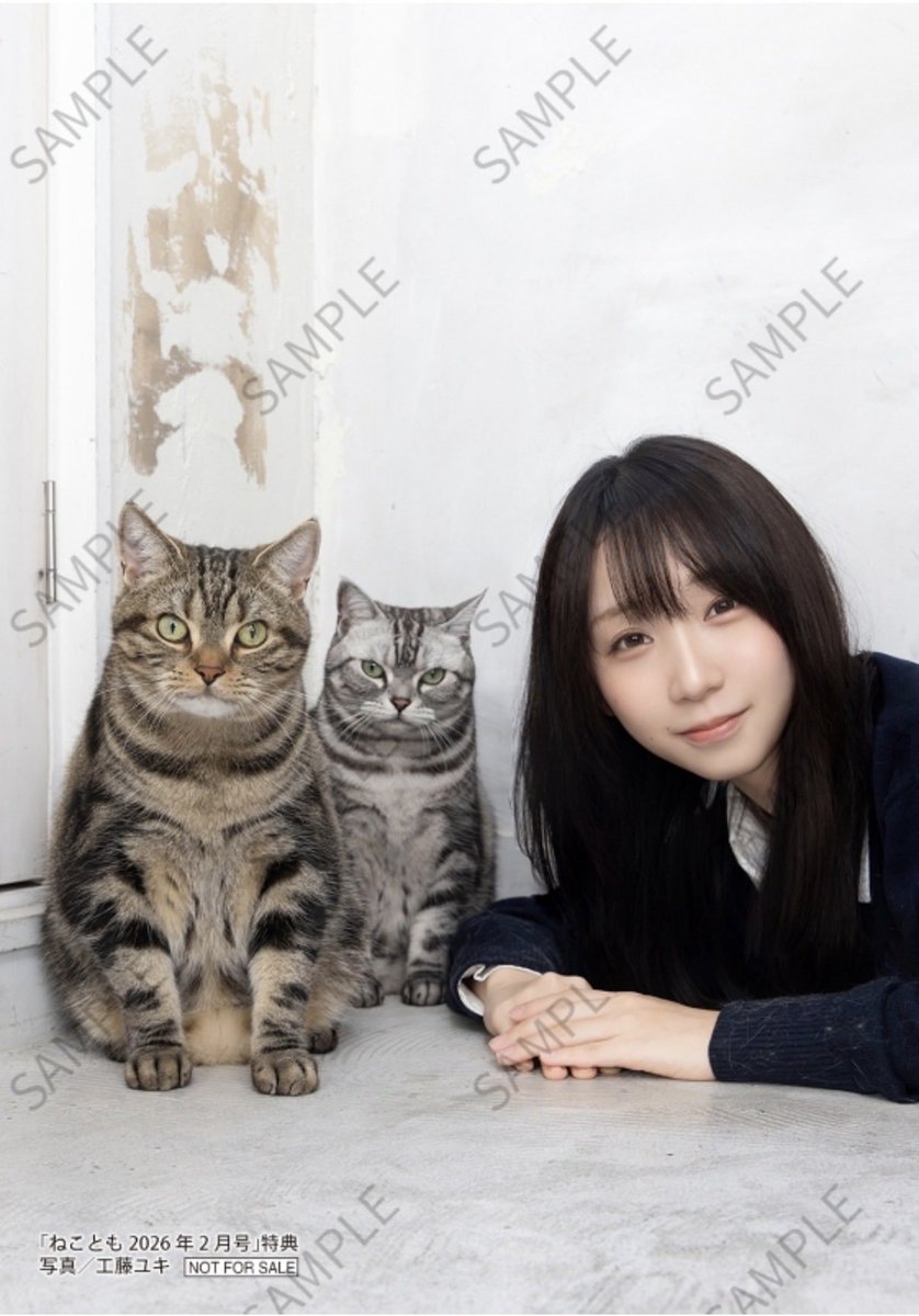 iorimoe_five's tweet photo. ねこともの特典ブロマイド人間が添え物過ぎて欲しすぎる https://t.co/77gLRBBEmC