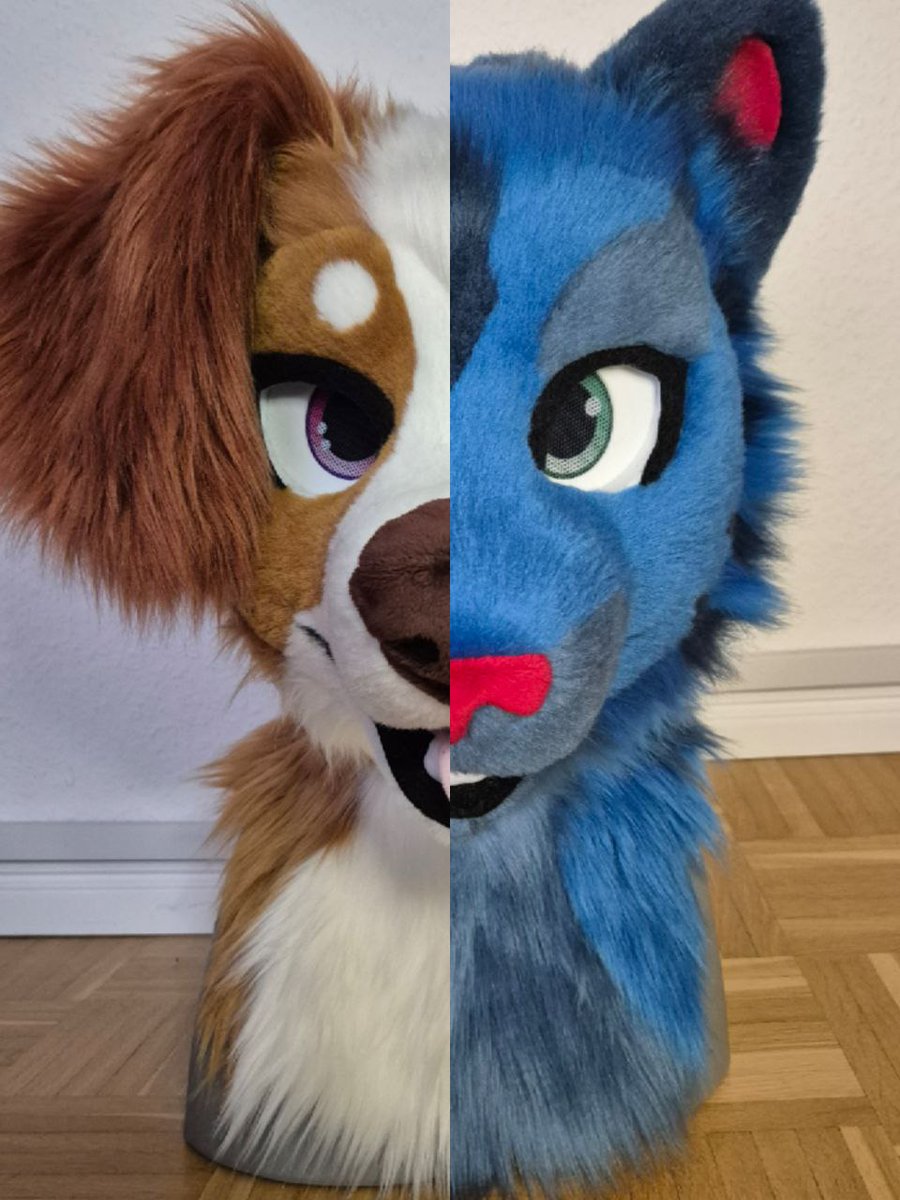 Sasa_Creations's tweet image. work on two premades the last days/week (between the commissions)

both are nearly finished :3

#fursuitmaker #fursuit #madewithlove #FursuitEveryday