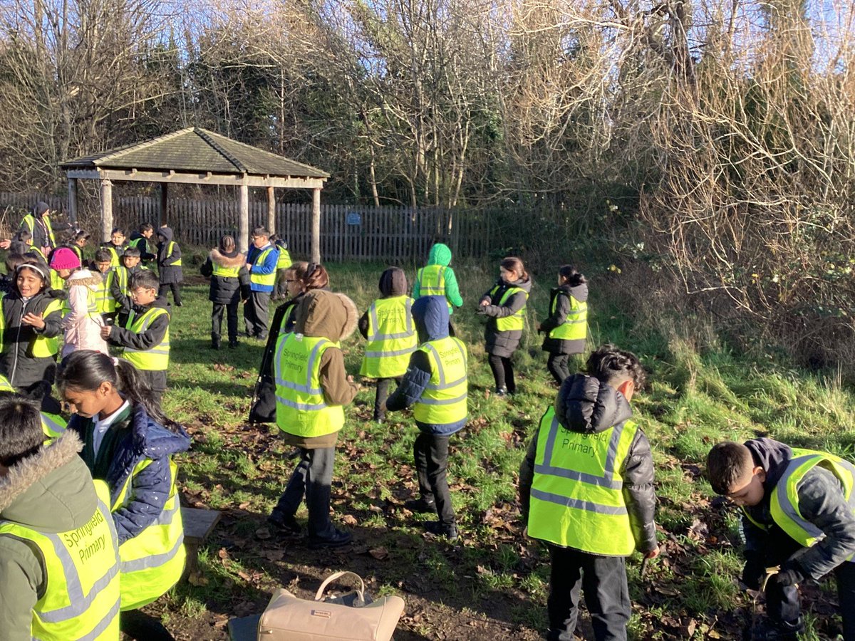 Springfield Primary Academy tweet media