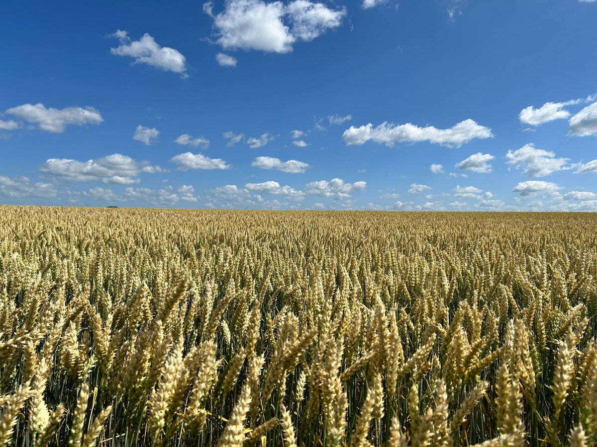 jrkitchenkraze's tweet image. From farm to table — with a flavorful stop at your creative kitchen along the way.

jrkitchenkraze.com

#FarmToTable #CreativeKitchen #FreshCooking #KitchenInspo #HomeChefLife #KitchenEssentials #CookWithLove #SeasonalEats #DiningDelight #ShopNow