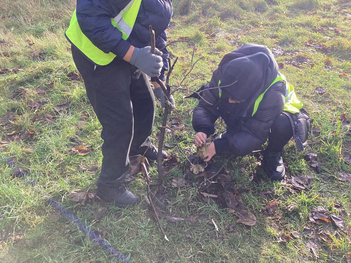 Springfield Primary Academy tweet media