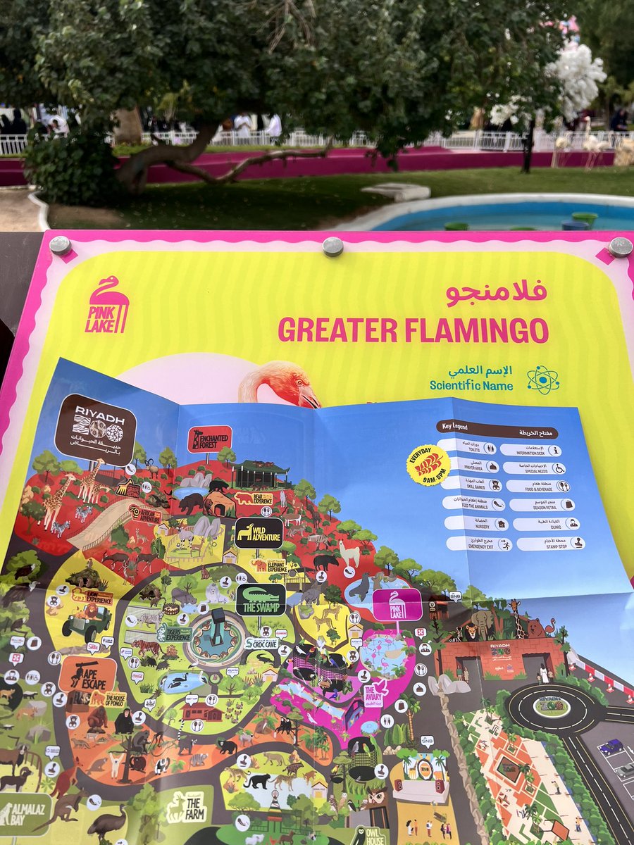 حديقة الحيوان🦒

الدخول مجاني والحجز عن طريق Webook 
من ٩ص إلى ٥م  
أول ماتدخلون يعطونكم خريطة🗺 تسهل عليكم الوصول لكل شيء تحتاجونه 
فيه عدة مطاعم ومقاهي معروفة مثل 
كودو،مايسترو بيتزا،شاورمر،دانكن 
وكذلك مناطق مخصصة للأطفال تتضمن الرسم على الوجه،اللعب والتلوين وزراعة نبته🌱🎨