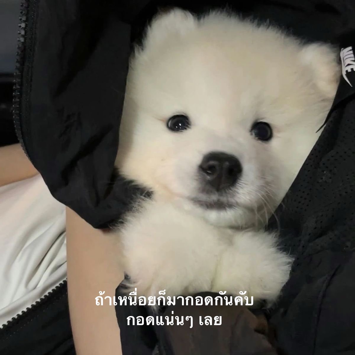 มากอดกันคับ