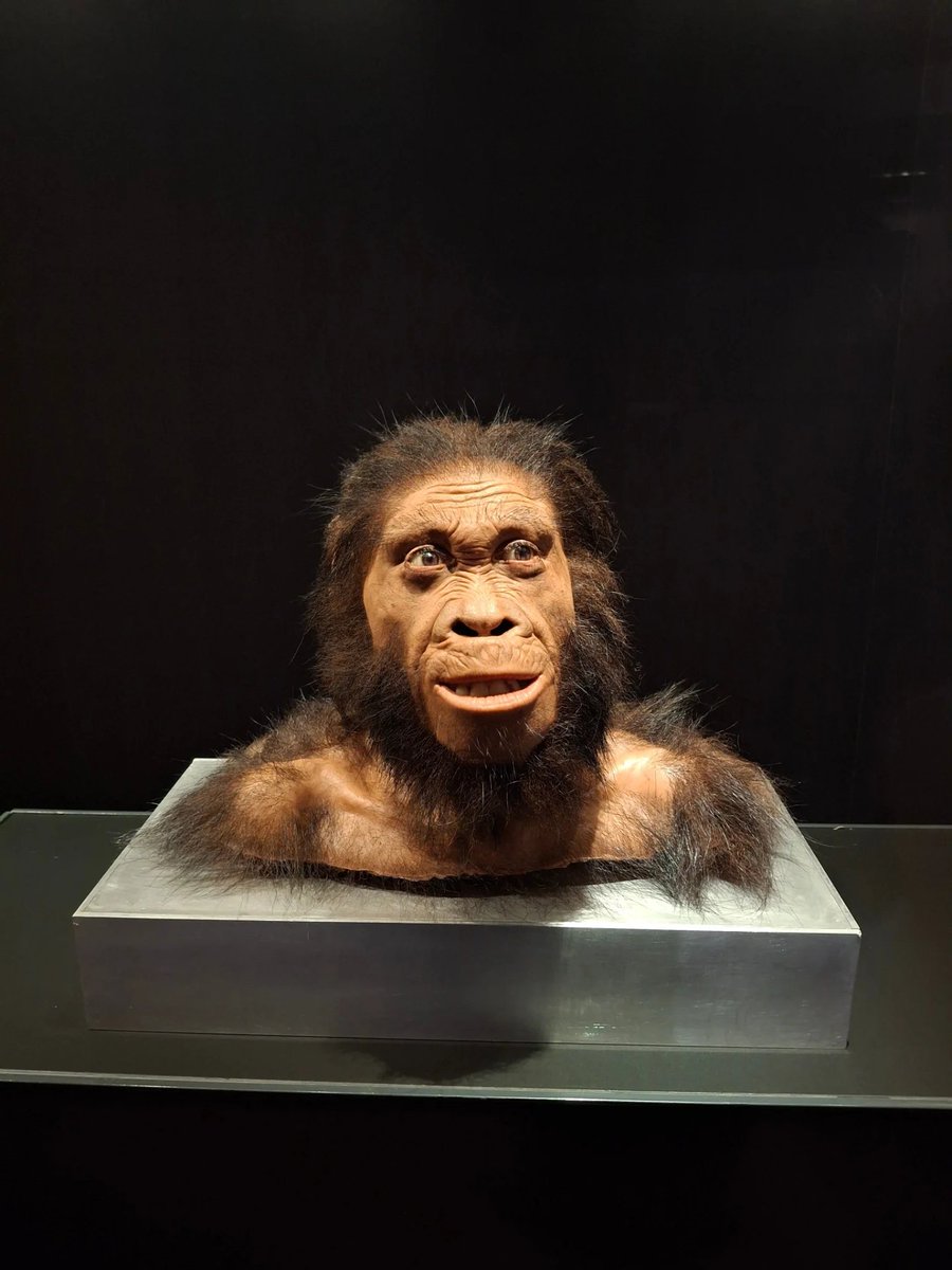 Maropeng es el centro de interpretación de la Cuna de la Humanidad, sitio Patrimonio Mundial de la UNESCO,  y está dedicado a explicar el origen y la evolución de la humanidad desde los primeros momentos del universo hasta el ser humano moderno.