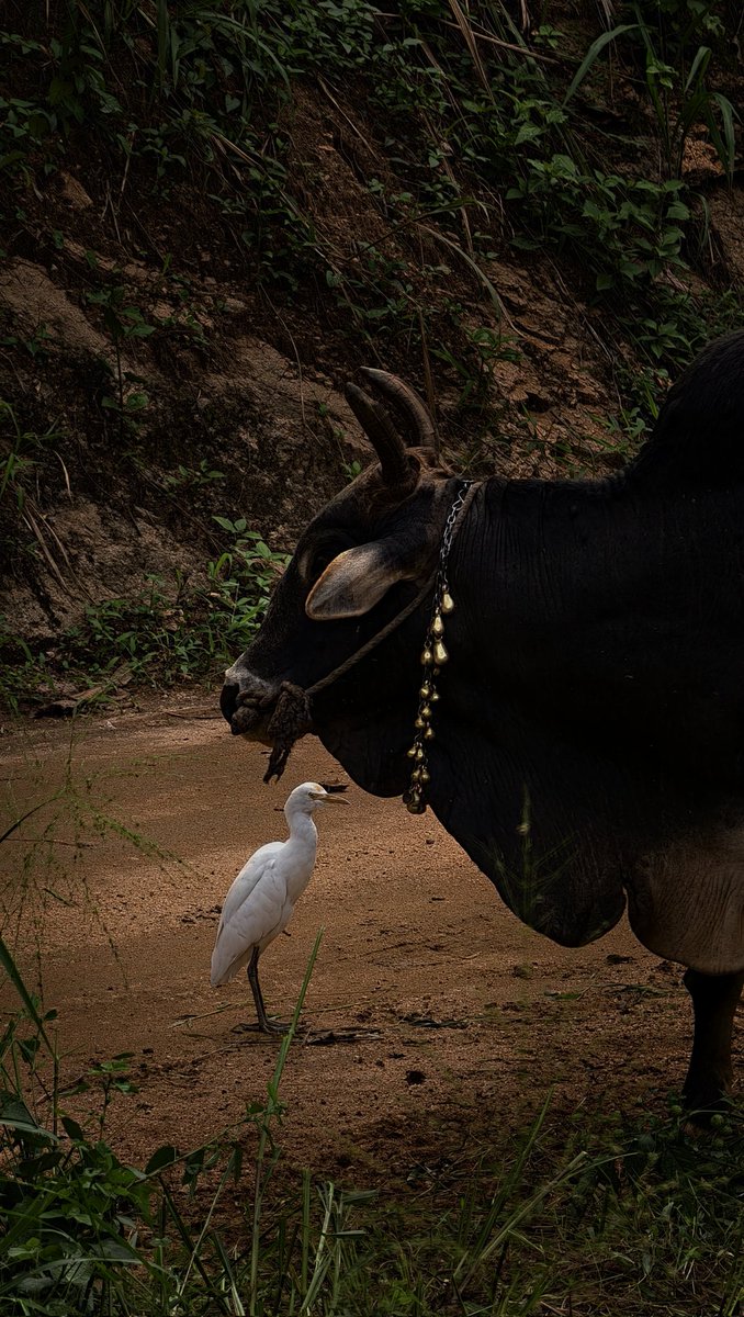 NeptuneX3's tweet image. #Silence