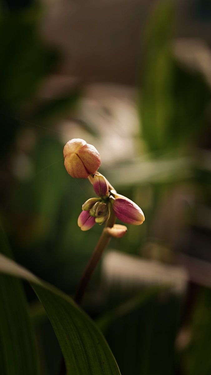 NeptuneX3's tweet image. #Silence