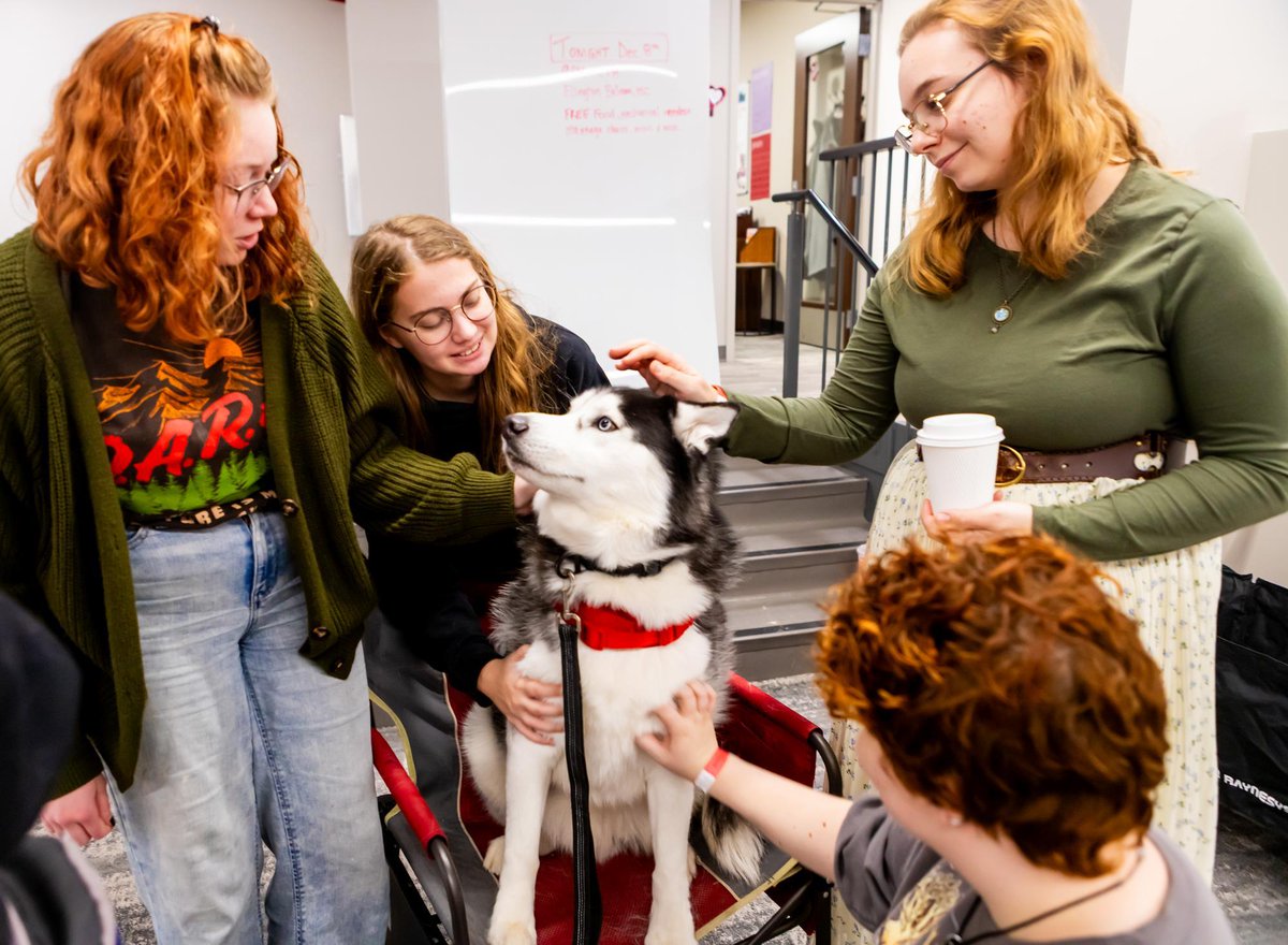 NIUlive's tweet image. The Finals Late Night Breakfast and Paws for Finals events are helping Huskies to keep pushing through #finalsweek! You are capable of eggs-traordinary things! ✨💫