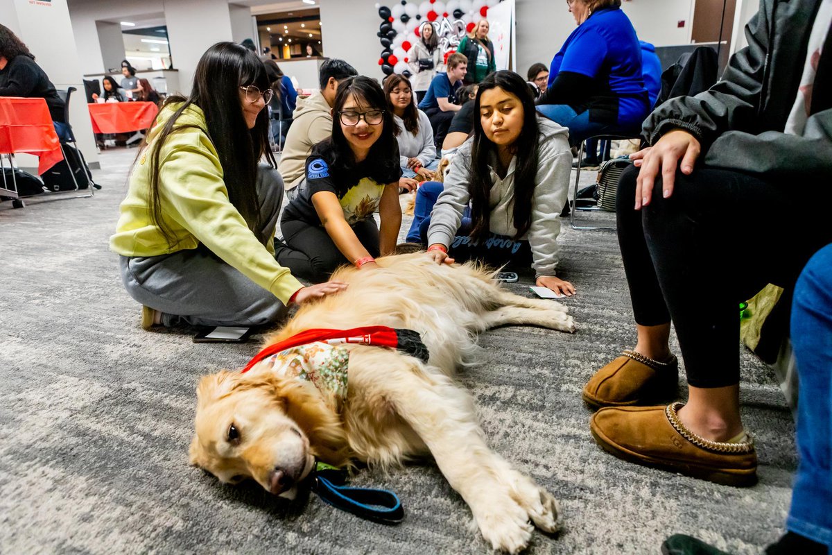 NIUlive's tweet image. The Finals Late Night Breakfast and Paws for Finals events are helping Huskies to keep pushing through #finalsweek! You are capable of eggs-traordinary things! ✨💫