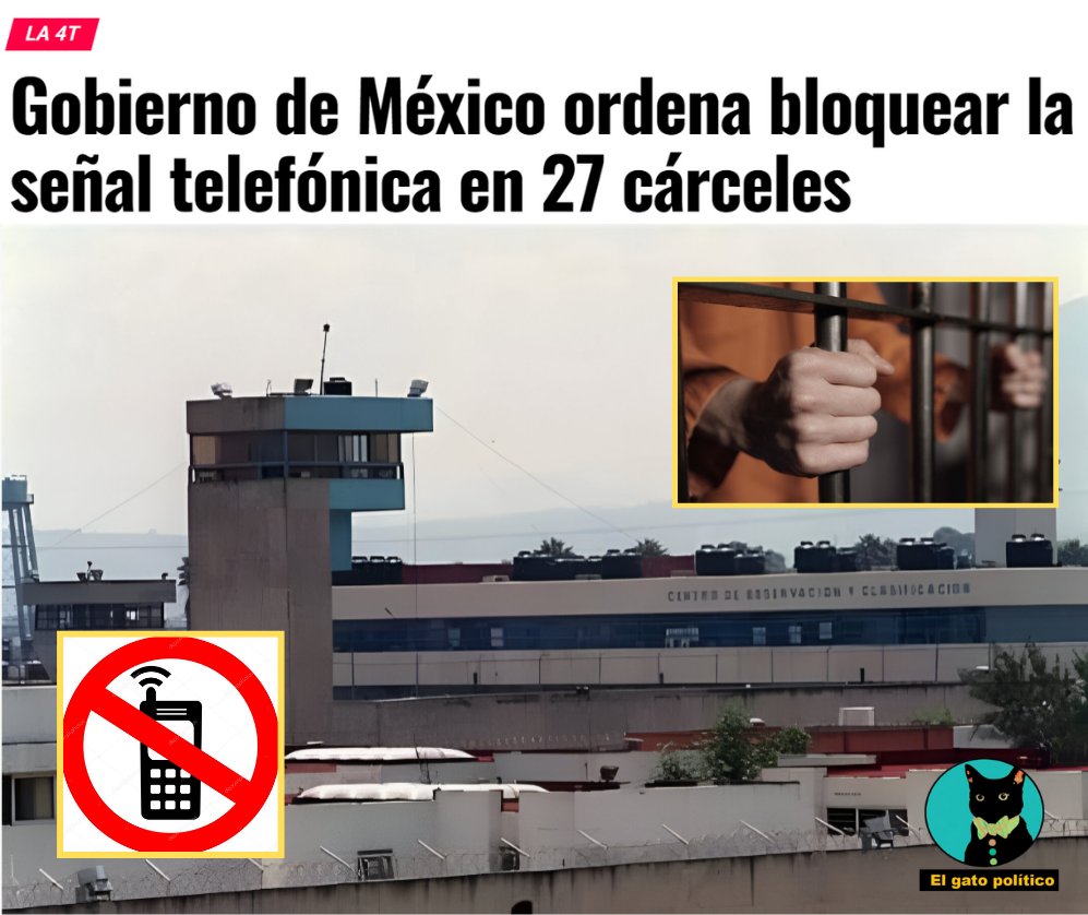 El gato político tweet media