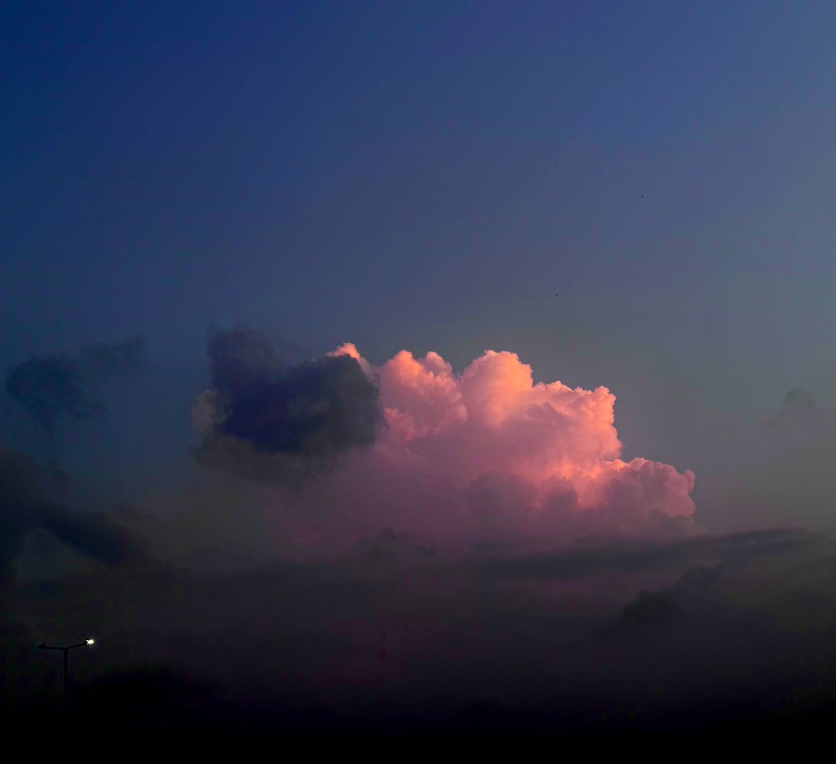 Raw (Nergigante when?) tweet media