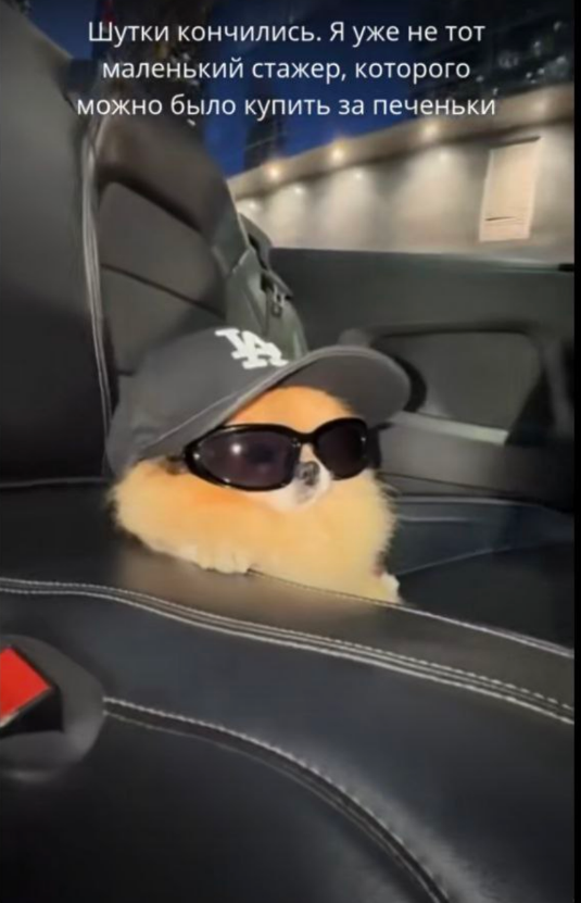 printemps tweet media