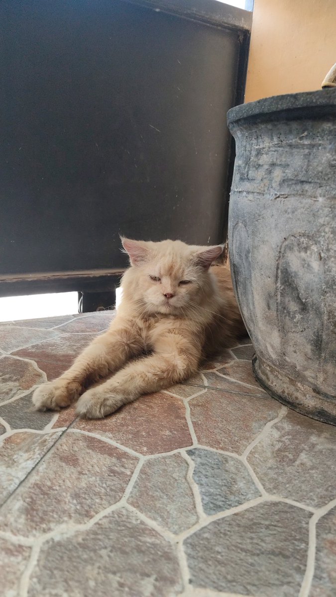 reoocha's tweet image. hope i’ll always find my way to you, miss you mas sayang❤️‍🩹