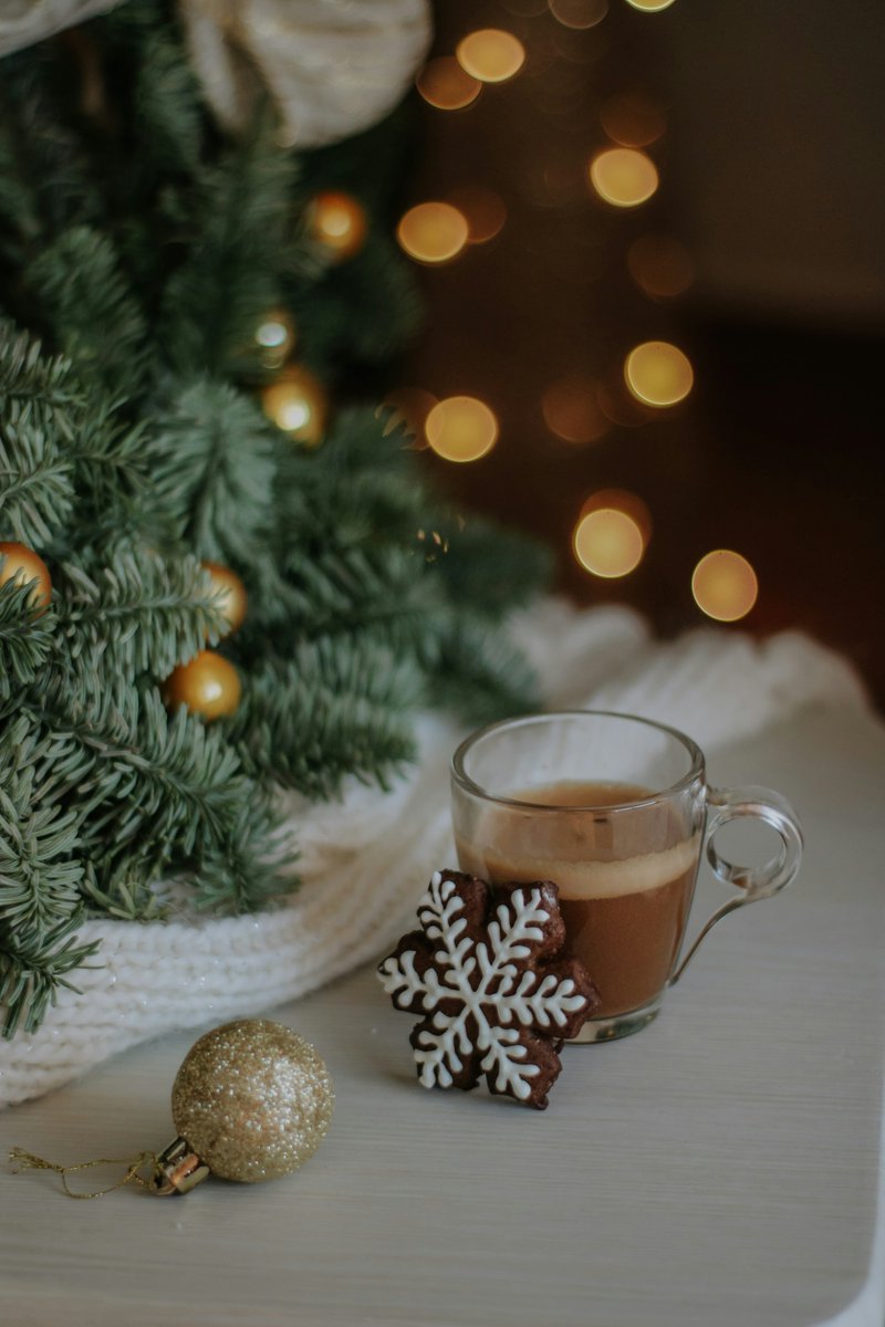 This holiday season, if you choose to enjoy holiday spirits with family &amp; friends, remember to celebrate responsibility by planning transportation ahead, know your limit, &amp; staying hydrated. Designate a sober driver or plan for a taxi/rideshare. Buzzed driving is drunk driving.