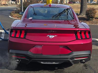 swapalease's tweet image. 2025 Ford Mustang EcoBoost Turbo Coupe
Lease Swap located in Apex, NC;
Details Here:  bit.ly/3KoX28H | Contact the Seller Today!
#swapalease #ford #fordmustang #leasedeals #leasespecials #leaseacar #leasecar