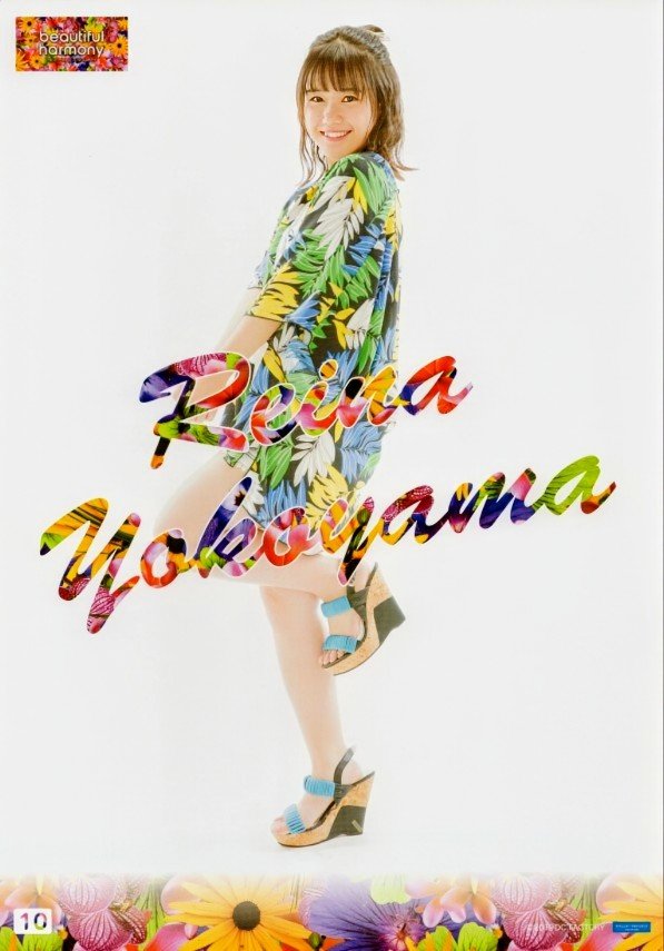 ポスター ドル誌 ピンナップ