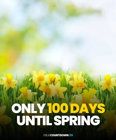 Scott Anderson tweet media