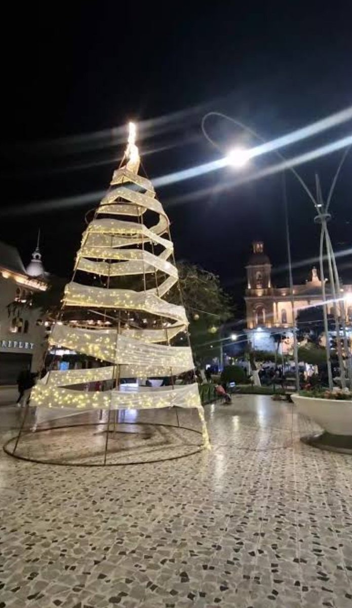 Carlo Martin tweet media