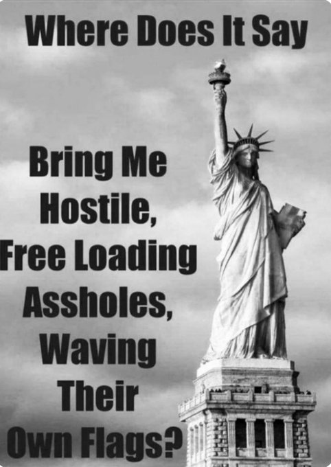 safehavenmoney's tweet image. 