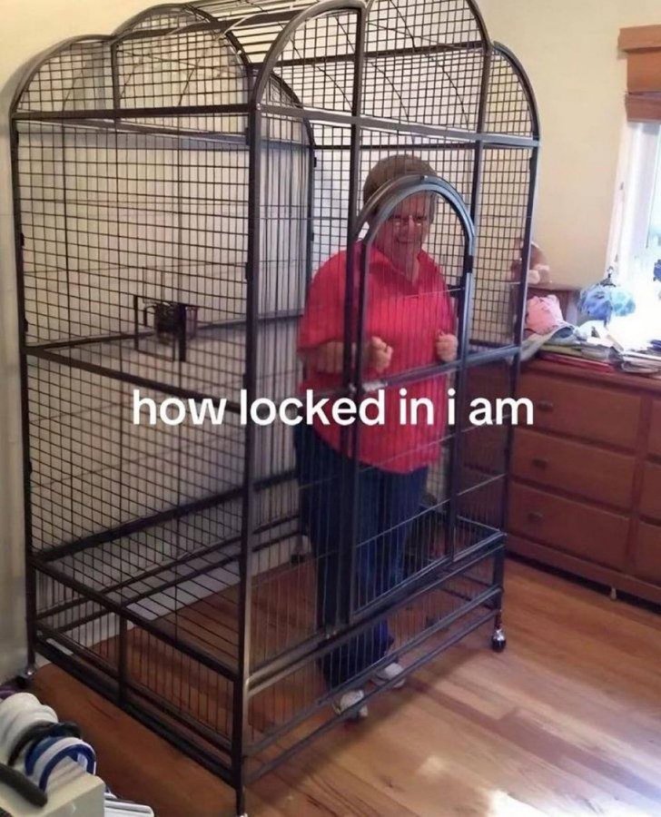 kalashnikovapv's tweet image. 