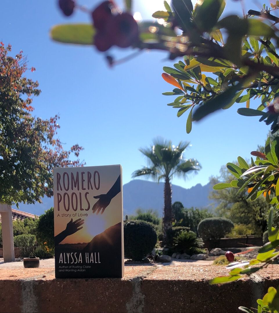 alyhallwriter's tweet photo. A Tucson Arizona mystery, set high in the Catalina mountains. Winner of the Literary Titan award. https://t.co/uAJ0H9wZvf