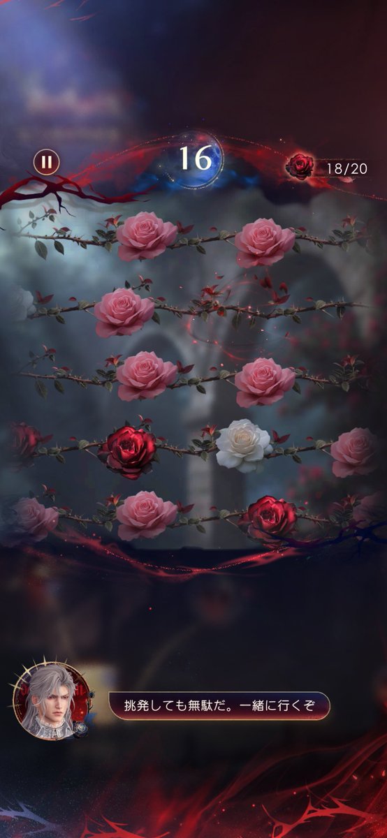 🌹マリア🇫🇷🇦🇪フォローバックゆっくり (@mariasanno) / Posts / X