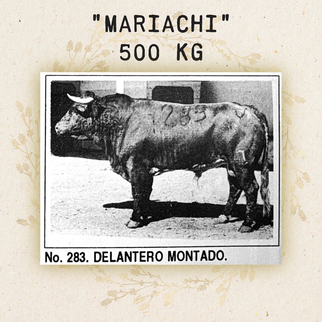 El Programa Taurino tweet media