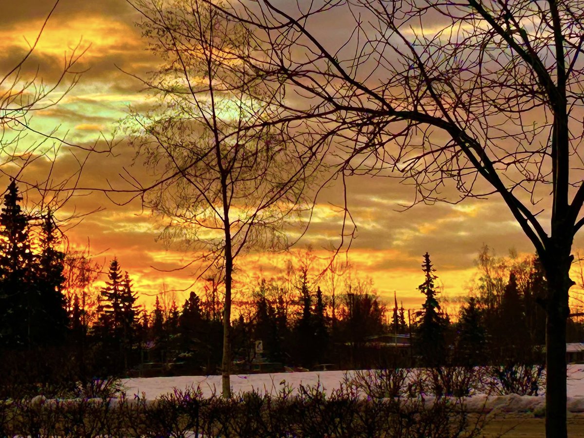 ariada_b's tweet photo. A beautiful sunset over Anchorage Alaska..
📷 - Janice Stewart https://t.co/DkuBZ7VeFr