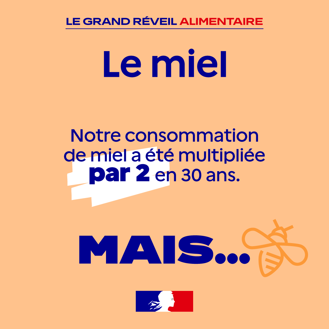 Agri_Gouv's tweet photo. Le saviez-vous ? La consommation de miel en France a été multipliée par 2 en 30 ans 🍯

👉 Pourtant, notre production reste inférieure à la demande.  

La #SouverainetéAlimentaire, des enjeux très concrets pour nos filières ⤵ https://t.co/4i9r3vrQU9