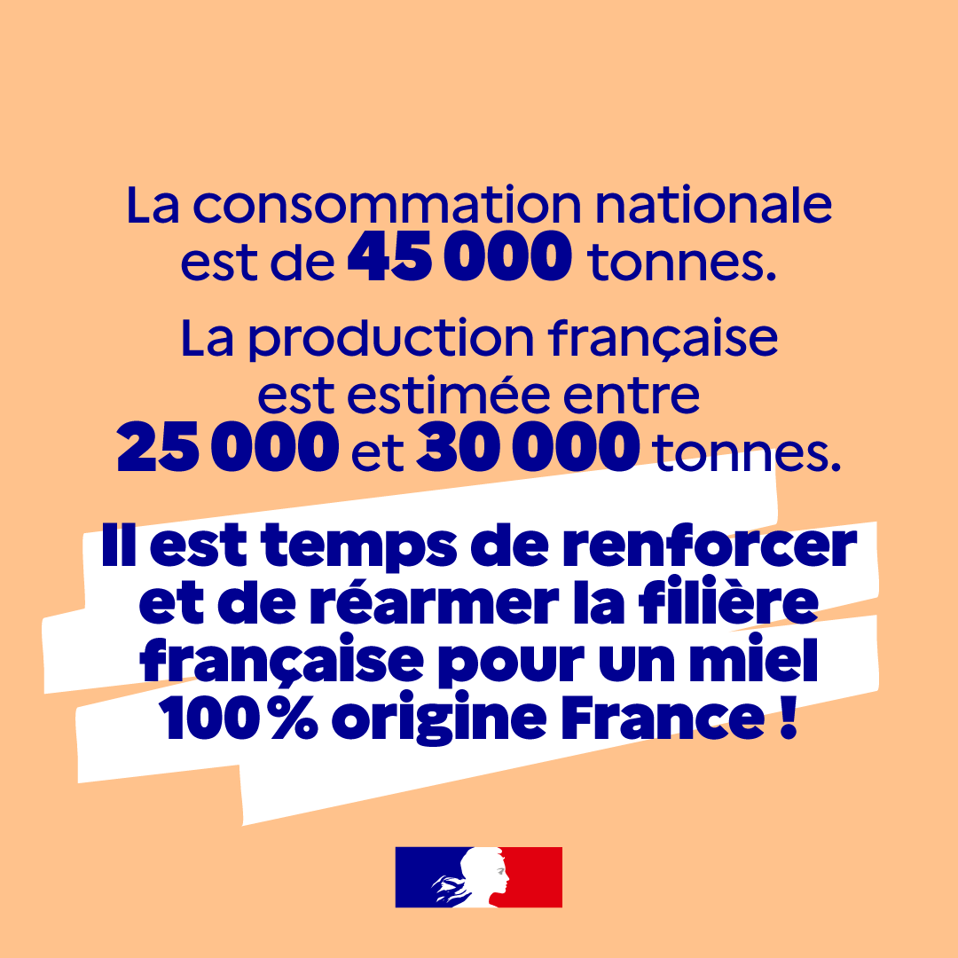 Agri_Gouv's tweet photo. Le saviez-vous ? La consommation de miel en France a été multipliée par 2 en 30 ans 🍯

👉 Pourtant, notre production reste inférieure à la demande.  

La #SouverainetéAlimentaire, des enjeux très concrets pour nos filières ⤵ https://t.co/4i9r3vrQU9