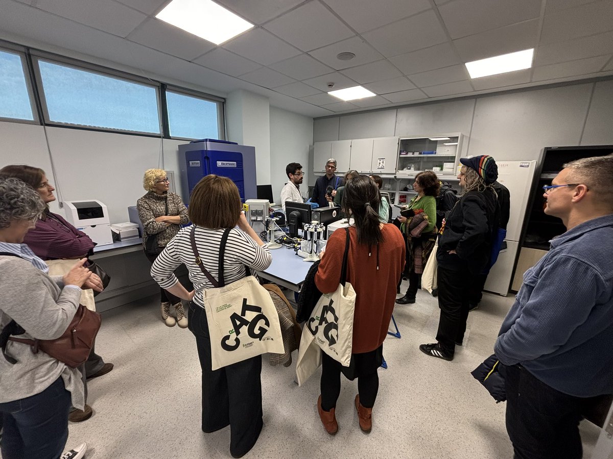 Catalonia International tweet media