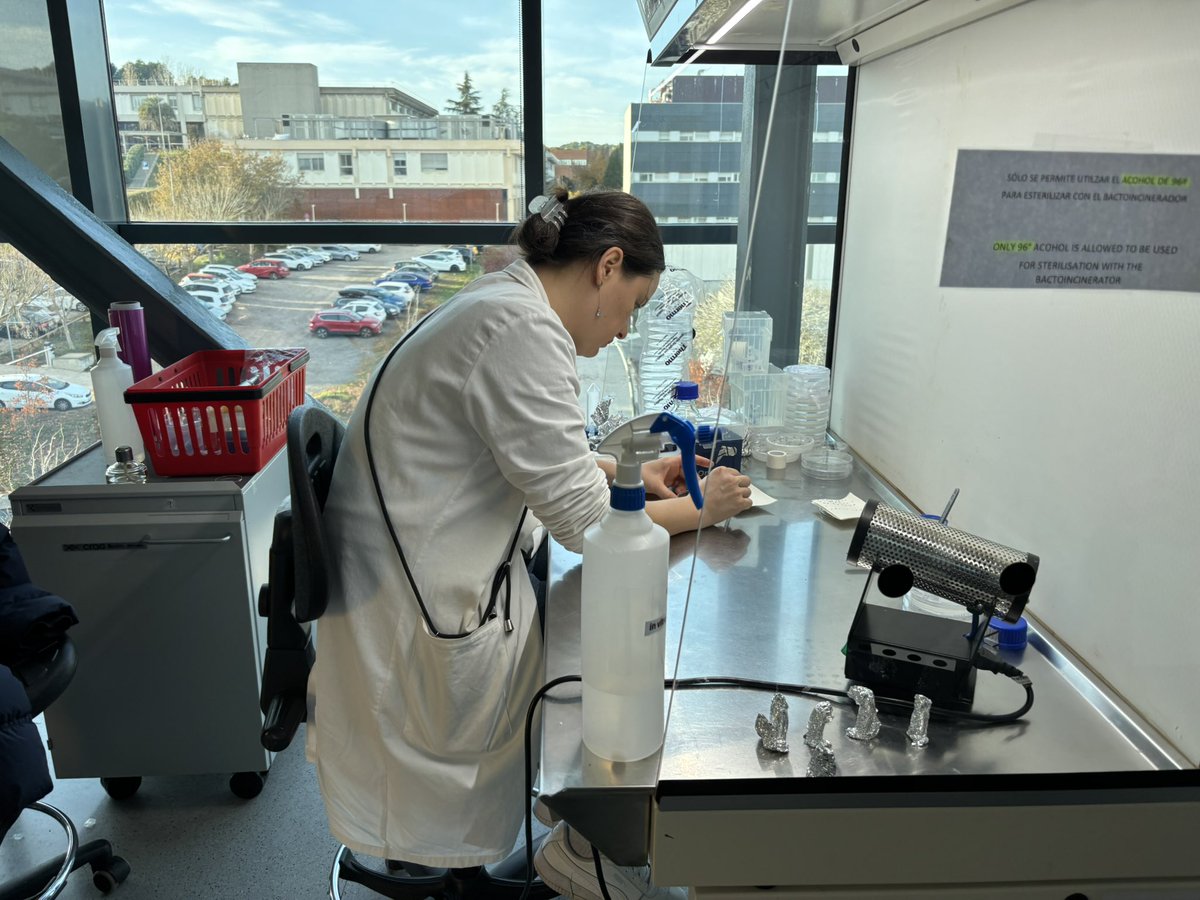 Catalonia International tweet media