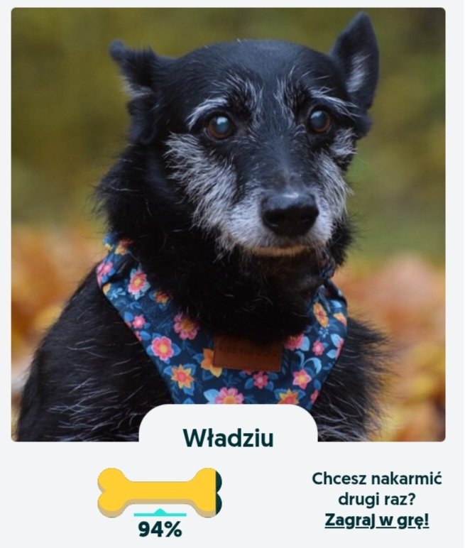 Panna Polly tweet media