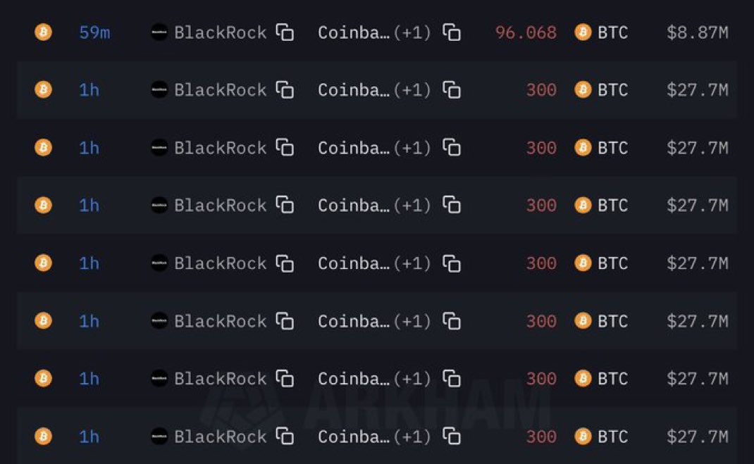 🐳 Alpha tweet media