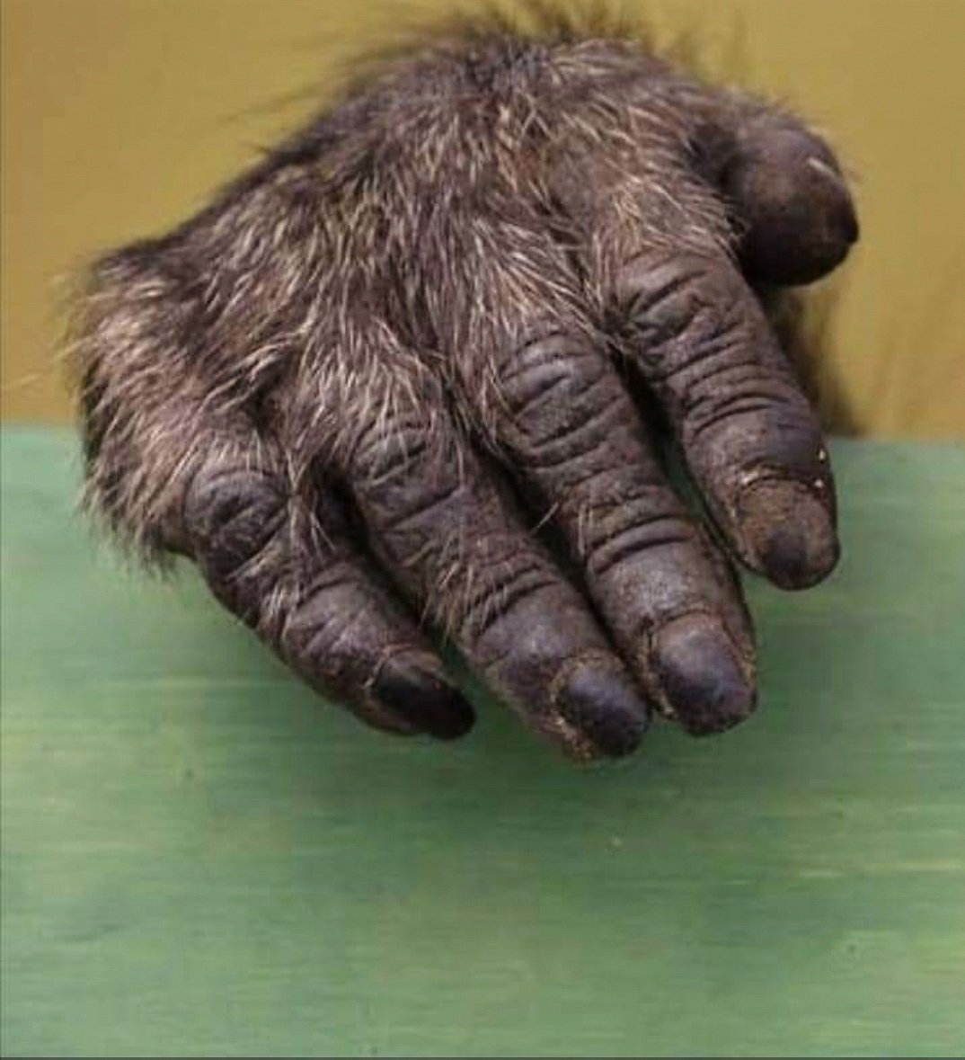 Somagwaza3's tweet image. Who is really behind the formation of black political parties in South Africa?
The plan is to keep blacks fragmented forever. 
#DevideAndRule