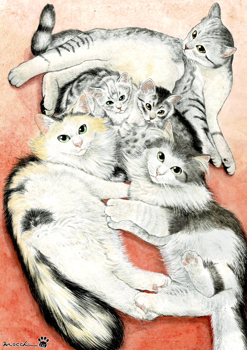 もっち（mocchi） (@mocchimocchi09) / Posts / X