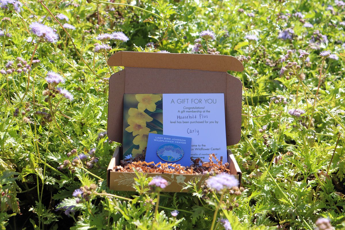 Wildflower Center tweet media