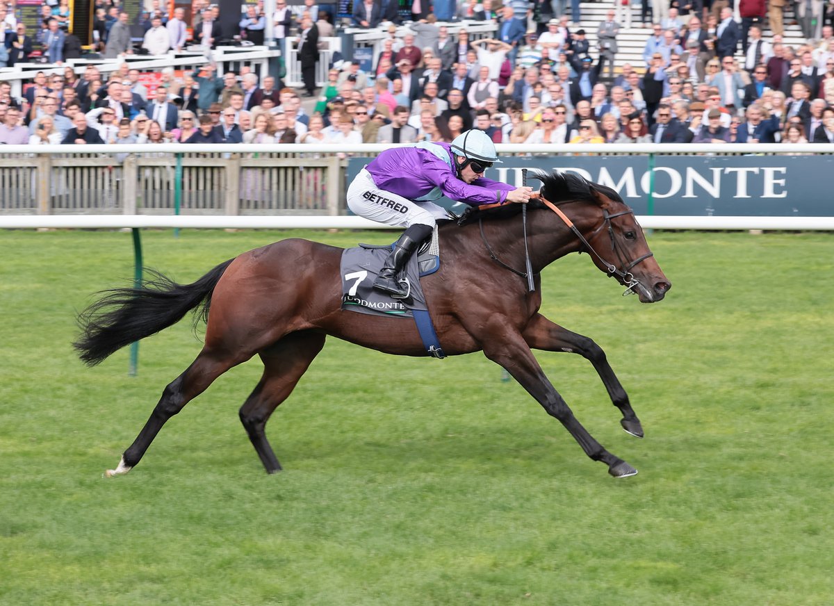 RPWeekender's tweet image. "He’s a beautiful specimen and a really exciting horse to have" - @kpfracing is delighted to have Ghostwriter in his string - he talks to @Georgia_cox_ in the @RPWeekender in what has been an amazing year for the Newmarket trainer.