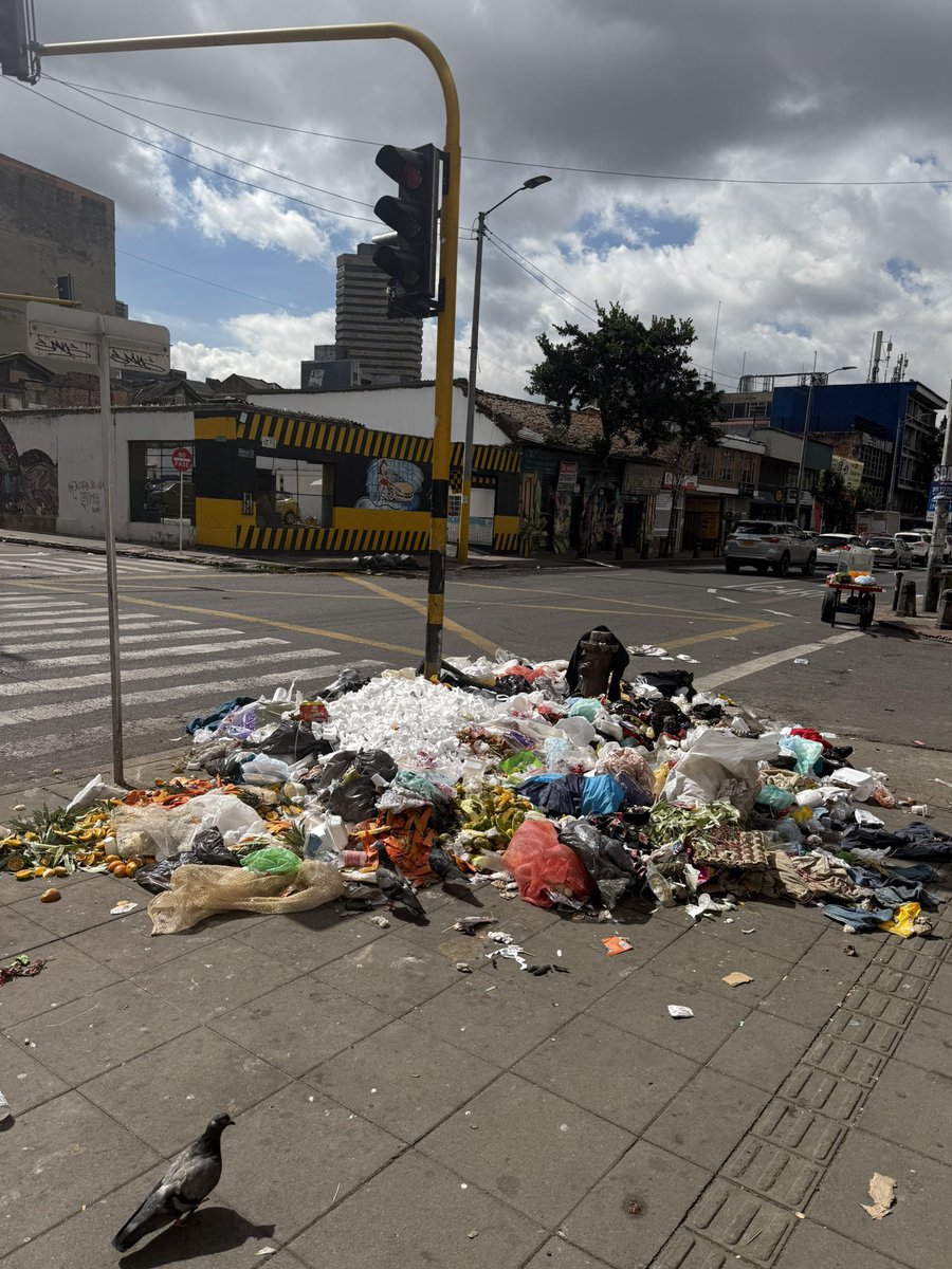 Mafe Carrascal Rojas tweet media