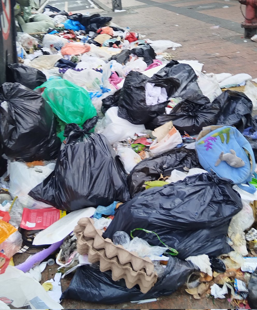 Mafe Carrascal Rojas tweet media