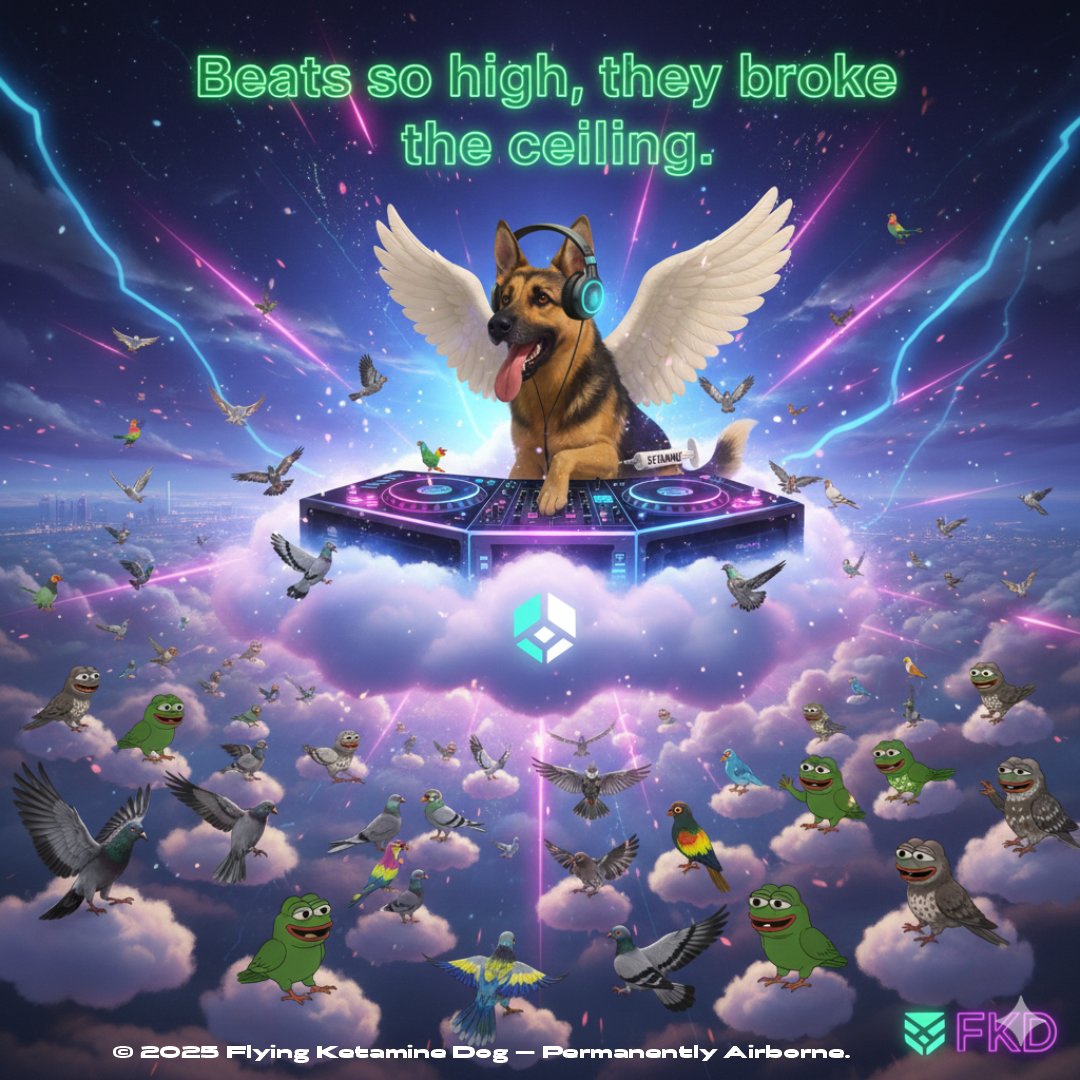 Flying Ketamine Dog tweet media