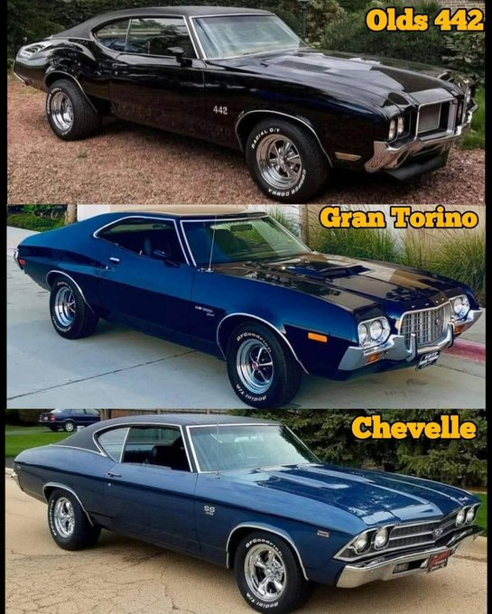 NachosatN's tweet photo. Top, middle, bottom? 🤔 https://t.co/tHc6hmTx3d