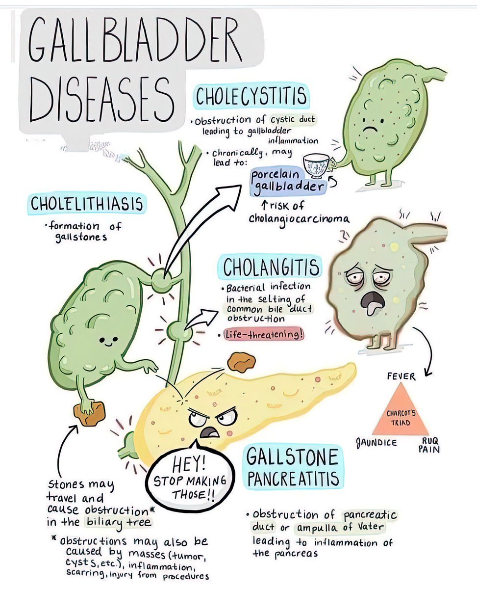 med_712's tweet image. Gallbladder diseases

🛑الي يحتاج شرح او تلخيص المحاضرات يتواصل معي