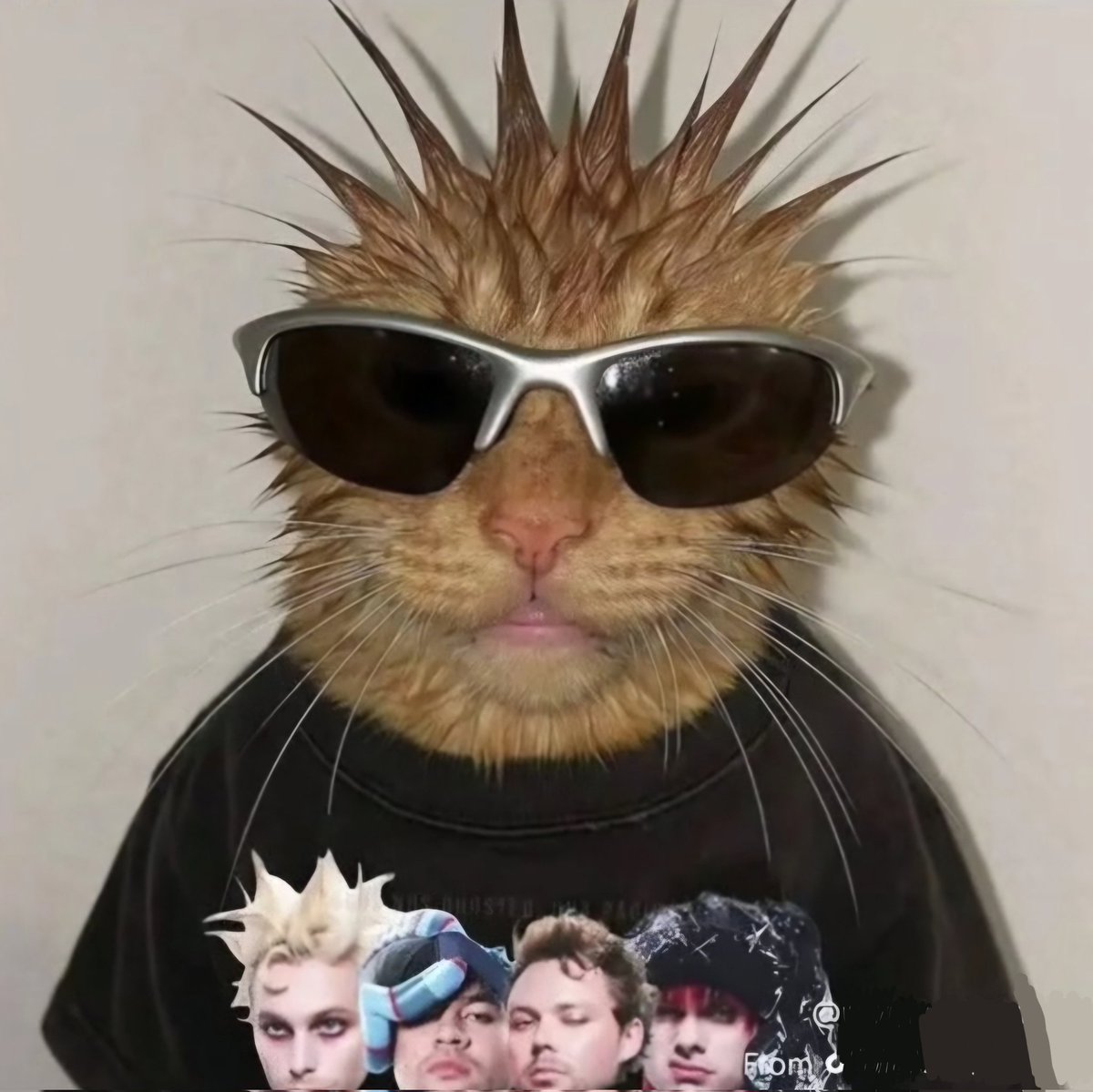 cecychz's tweet photo. Soy esta de aquí a septiembre, AHI NOS VEMOS PERROS @5SOS EVERYONE'S A STAAARRR 🗣🗣🗣🇲🇽🇲🇽🇲🇽 https://t.co/hfgd8zwOfB